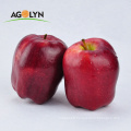 full-red skin fresh red  Huaniu Apple fruit